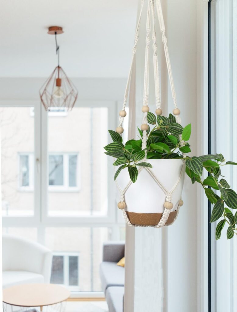 boho living room with macrame plant hangers and succulents